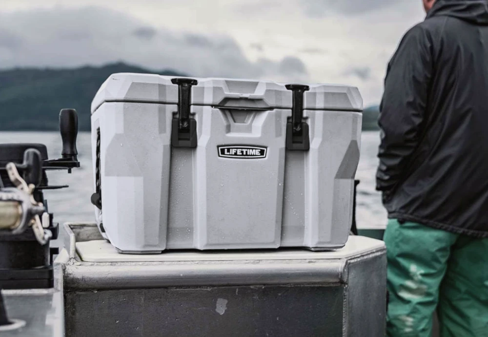 portable cooler box