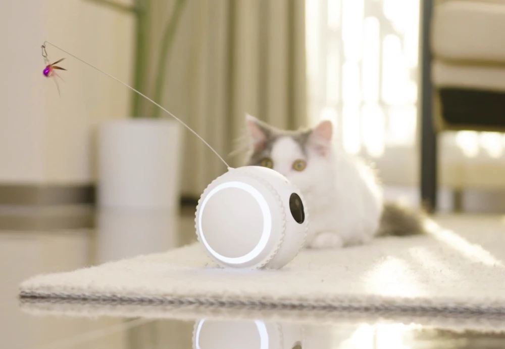 wireless pet camera system