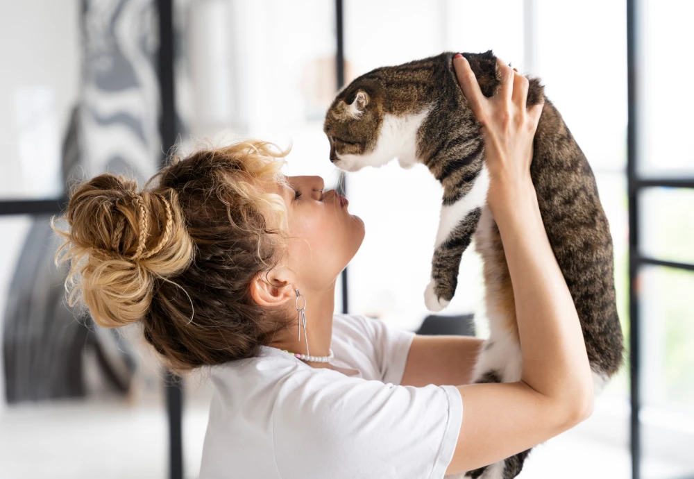 cameras to watch pets