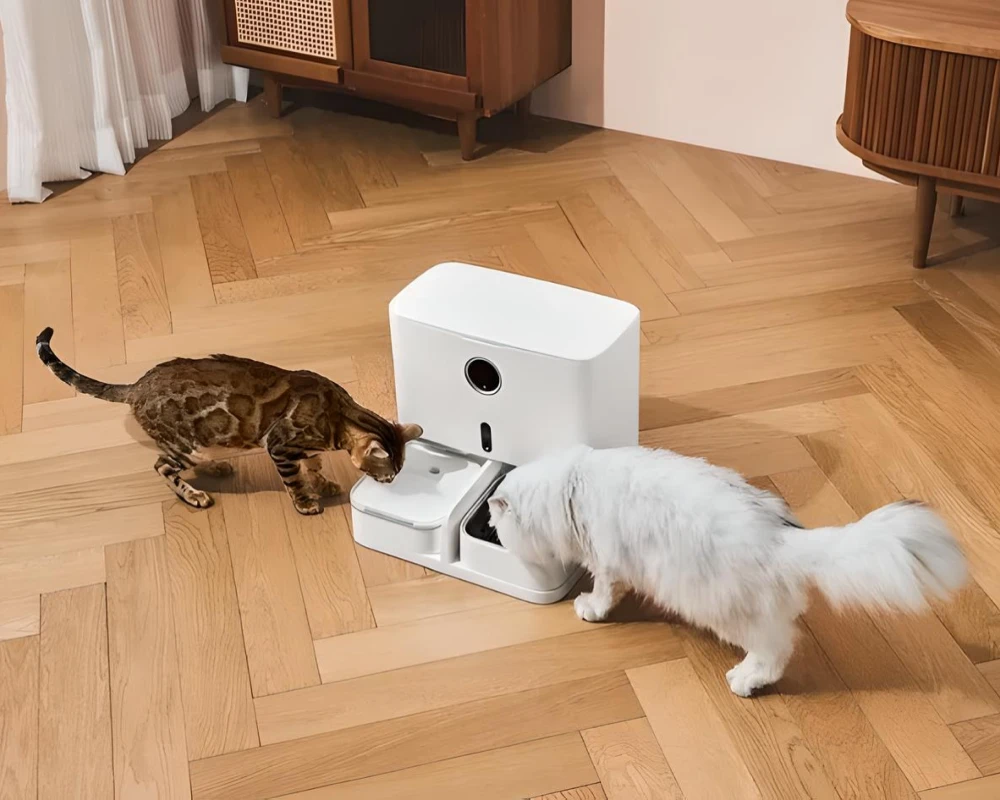 dog food feeder automatic